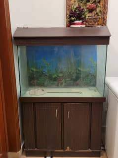Aquarium