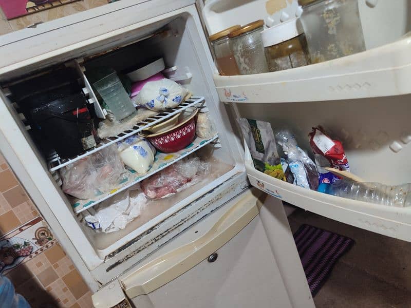 PEL Refrigerator 3