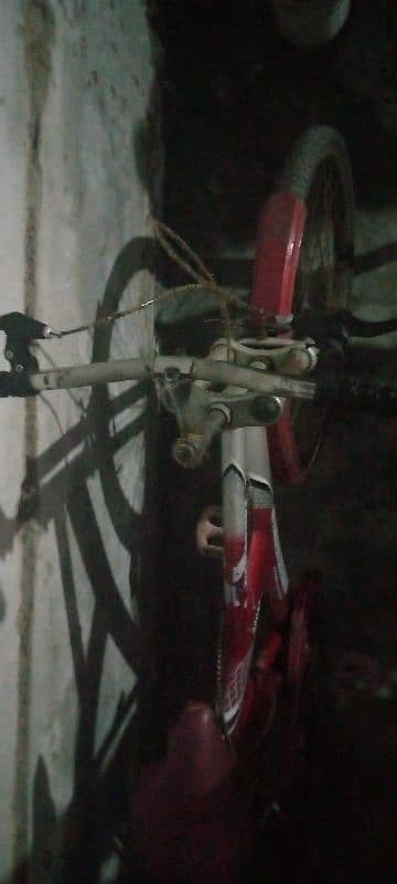 sports cycle 1