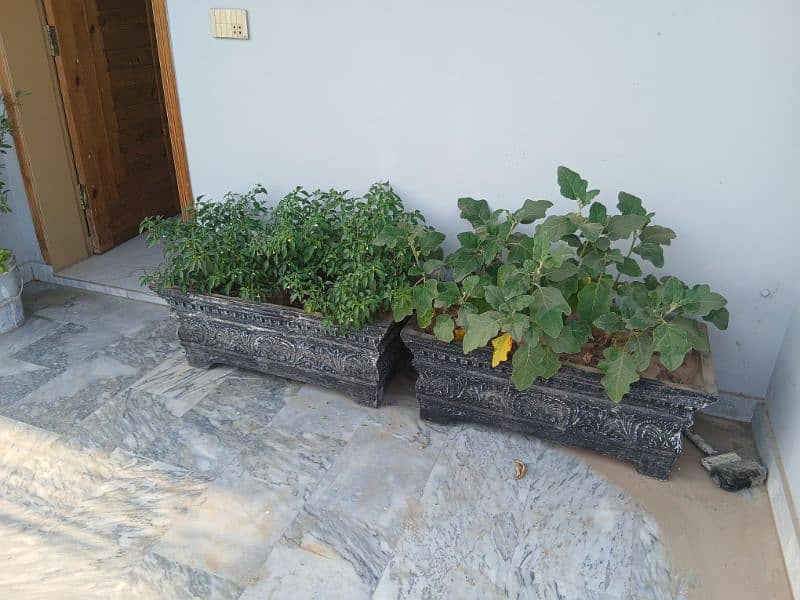 Room for rent for female students 8