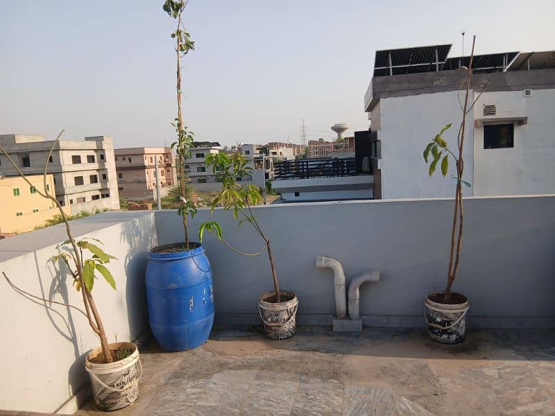 Room for rent for female students 10