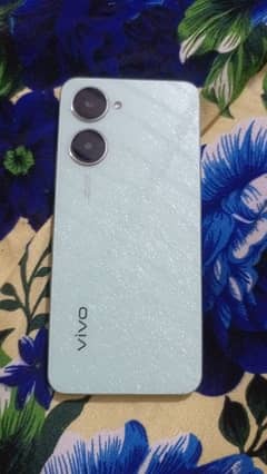 vivo