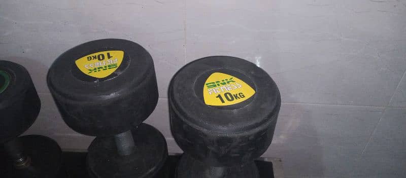 A pair of 10 kg dumbells 1