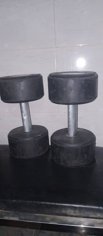 A pair of 10 kg dumbells 2