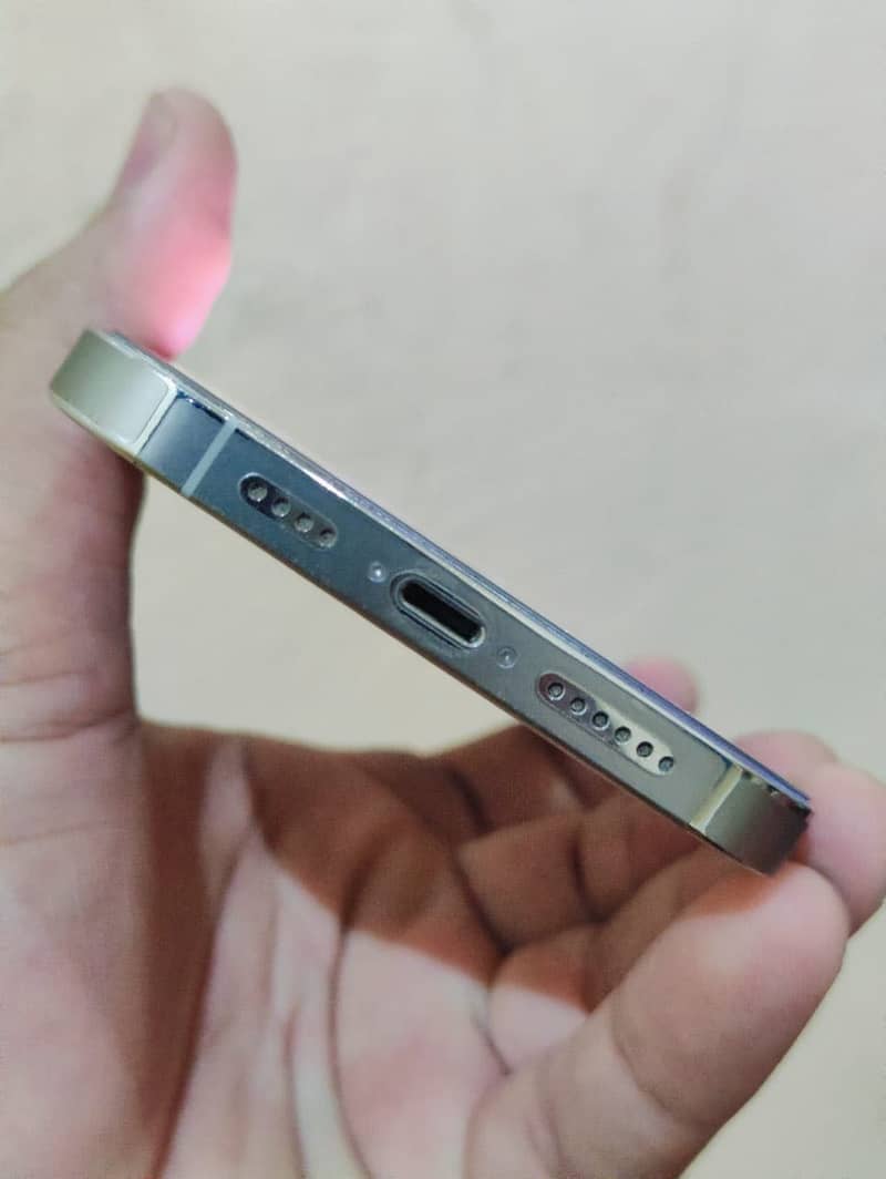 Iphone 13 pro max 1