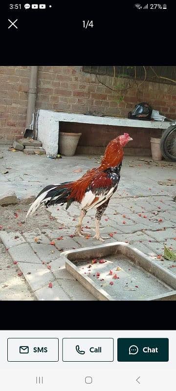 Juda hai mere pass 0