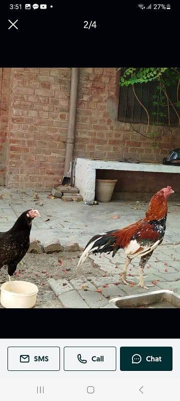 Juda hai mere pass 2