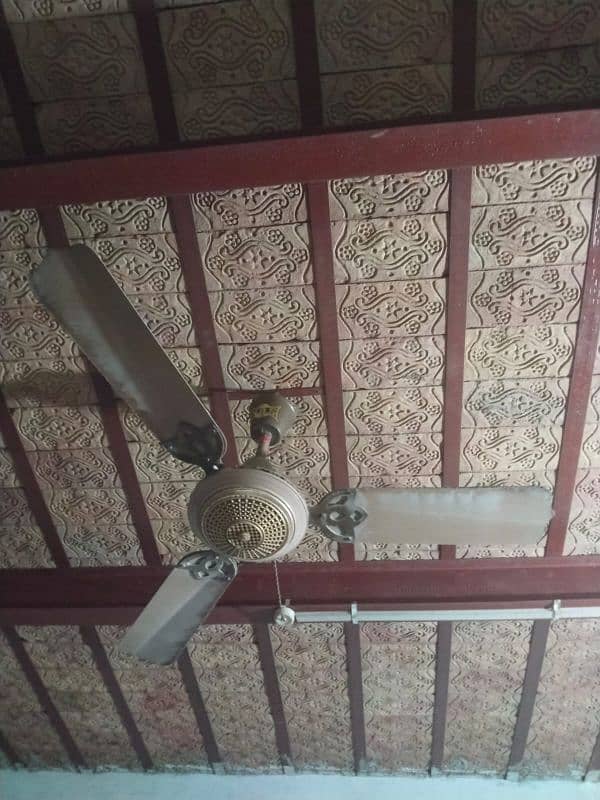 ceiling fan 1