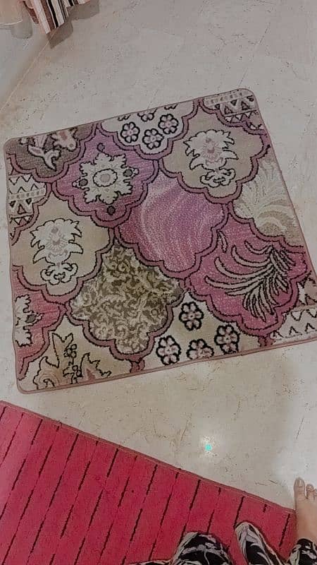 rug and folding blind 0