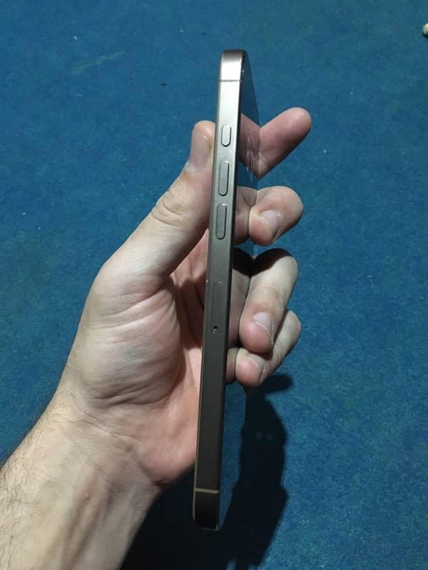 16 Pro Max Desert Titanium 1
