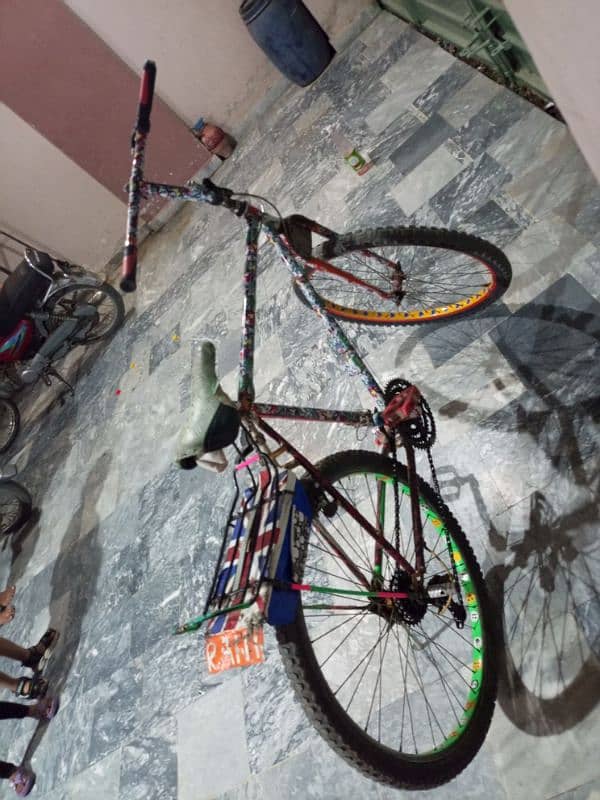 bicycle 2
