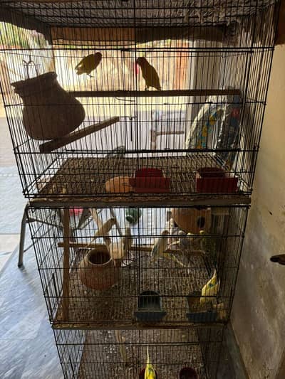 cage with 4 foldable compartments