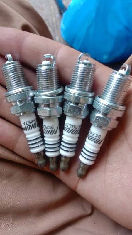 all cars kabuli engine plugs available 4