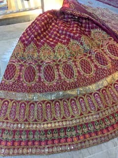 embroidered sharara