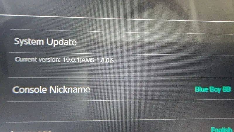 Nintendo Switch Lite Jailbreak 128 GB with Android 15 Addon 11