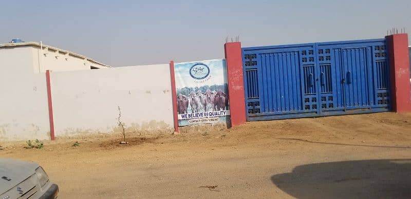 Cattle Farm for Sale in Gadap Town 2