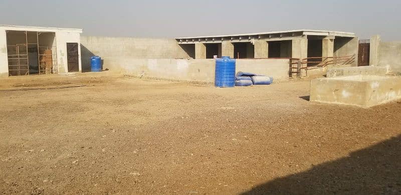Cattle Farm for Sale in Gadap Town 5