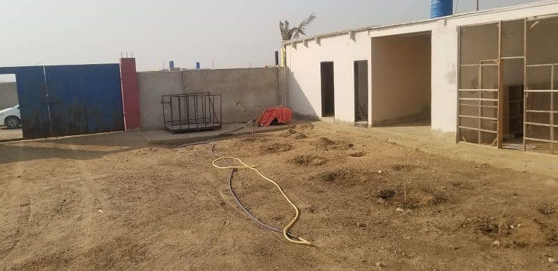 Cattle Farm for Sale in Gadap Town 8