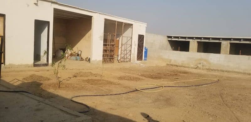 Cattle Farm for Sale in Gadap Town 9