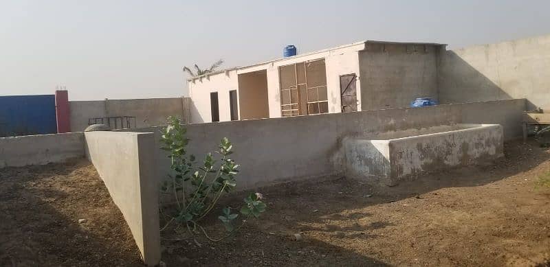 Cattle Farm for Sale in Gadap Town 15
