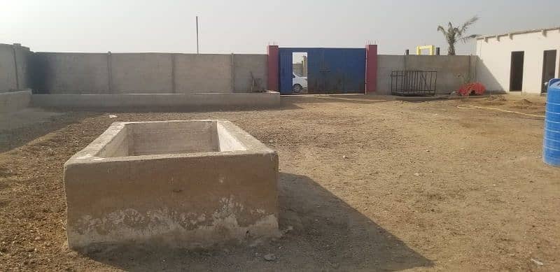 Cattle Farm for Sale in Gadap Town 17