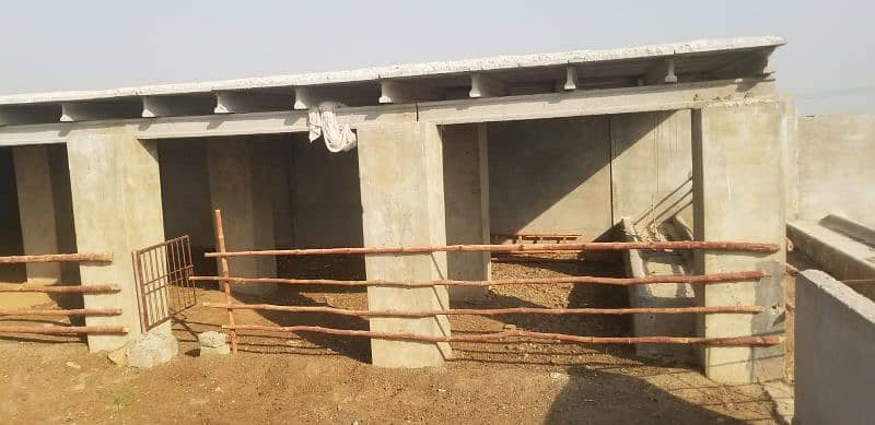 Cattle Farm for Sale in Gadap Town 18