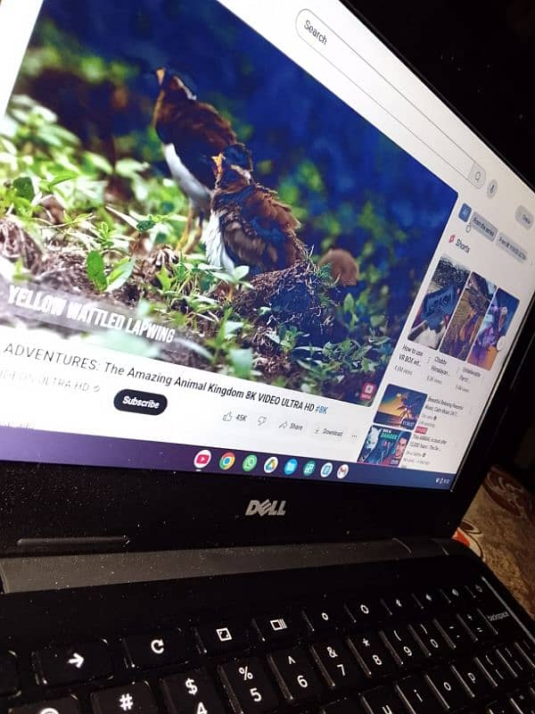 DELL CHROMEBOOK 11 64 BIT Contact 03105340959 Whatsapp 0