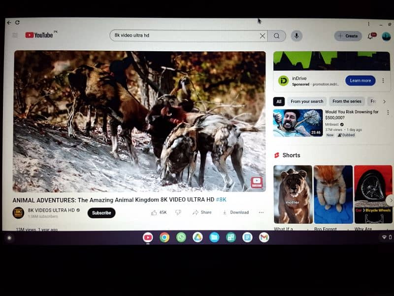 DELL CHROMEBOOK 11 64 BIT Contact 03105340959 Whatsapp 1