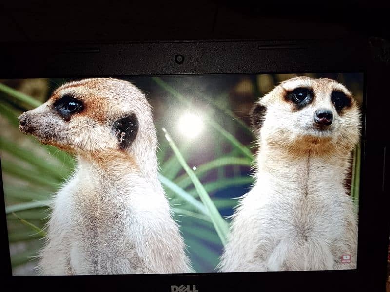 DELL CHROMEBOOK 11 64 BIT Contact 03105340959 Whatsapp 6