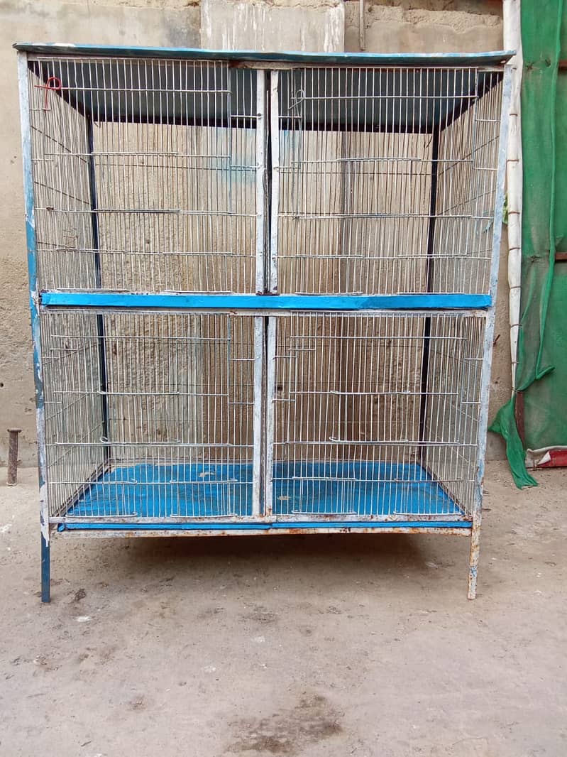 Birds cage 0