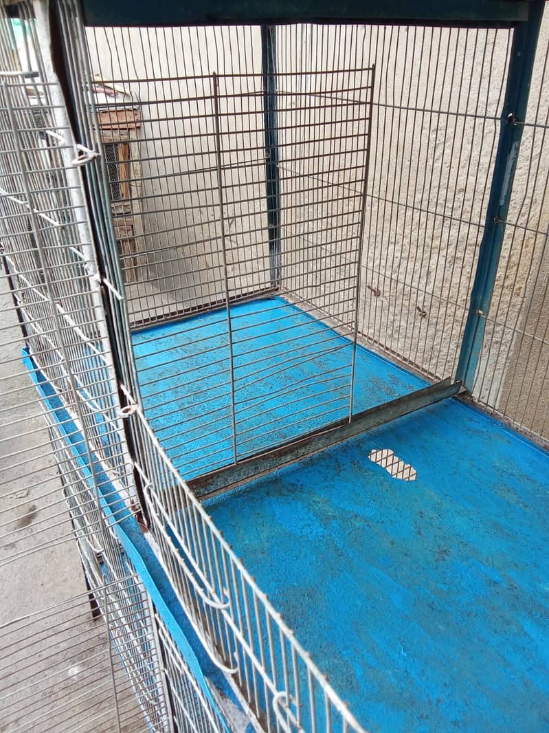 Birds cage 3