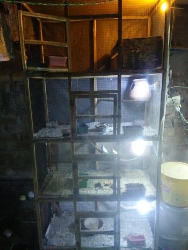 Wooden cage 4 portion size 2/3.03270101713 2