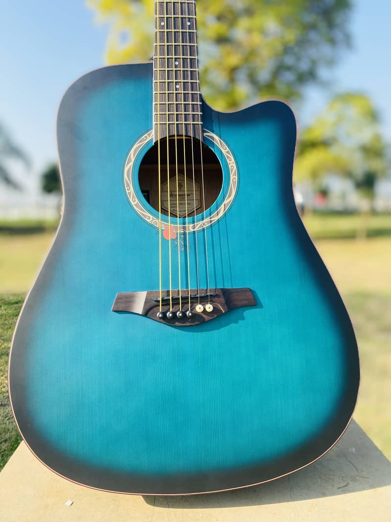 Starway Acoustic Guitar Professhional Guitar (IMPORTED ) 4