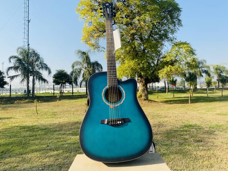 Starway Acoustic Guitar Professhional Guitar (IMPORTED ) 5