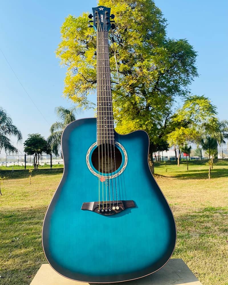 Starway Acoustic Guitar Professhional Guitar (IMPORTED ) 12