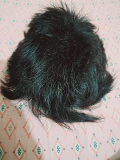 HAIR