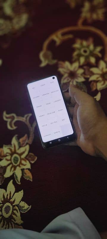 Samsung Galaxy s10E approve 10/10 1