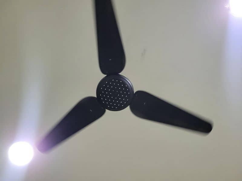 Ceiling Fan 1