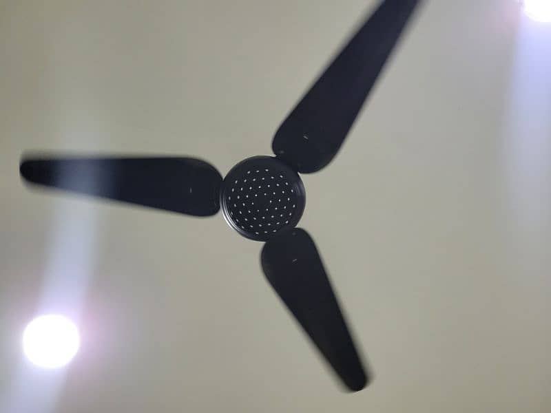Ceiling Fan 2
