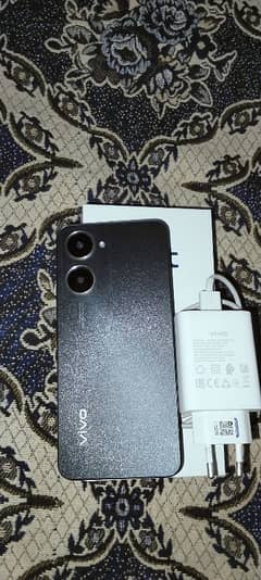 vivo