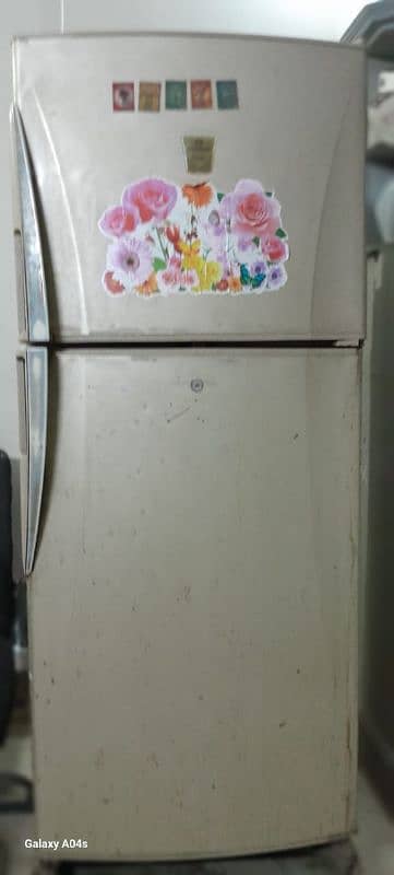 Fridge 4