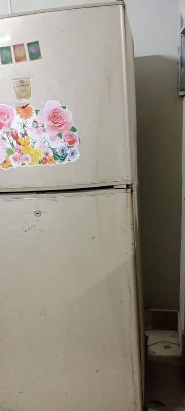 Fridge 5