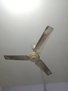 A1 fan pak fan