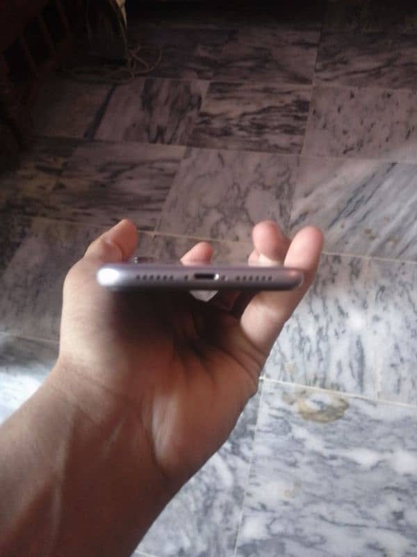tayab 0