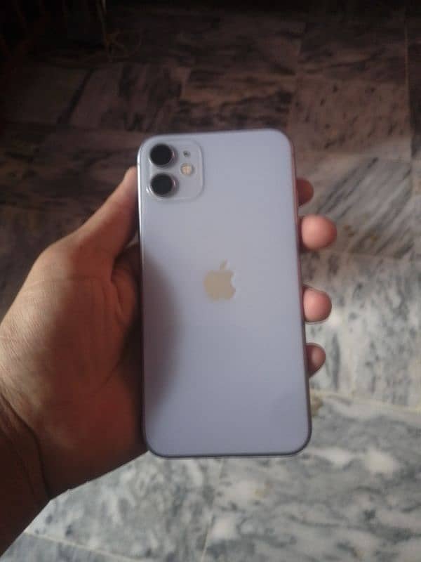 tayab 2