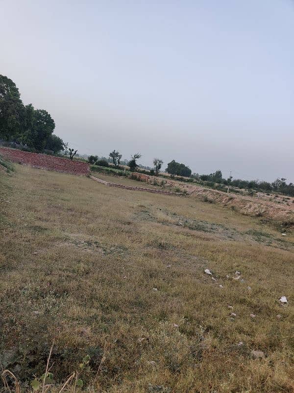 Residential Plot 1