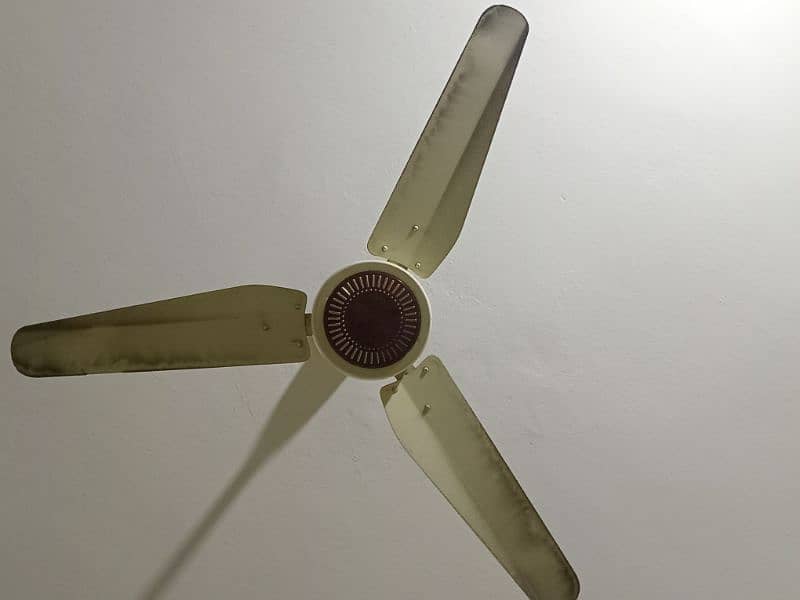 2 Fans 2022 modle super Asia 101% OK fan in used condition 10/10 5