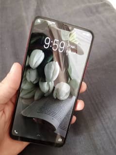 vivo