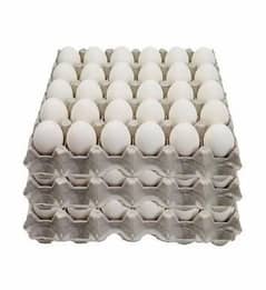 Farm Fresh eggs on wholesale rates