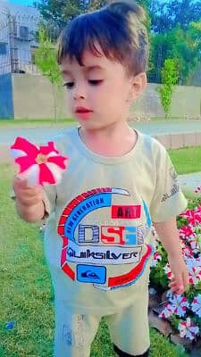 mehwish